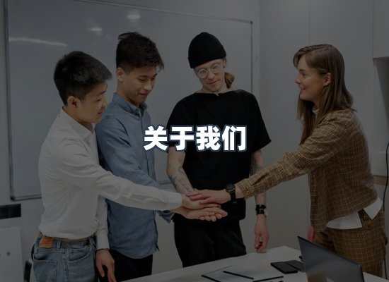 专业团队